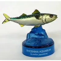 Trading Figure - Enoshima Aquarium