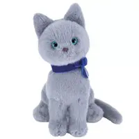 Plush - Cat