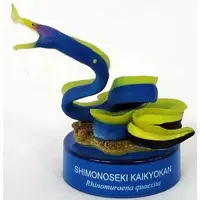 Trading Figure - Capsule Aquarium