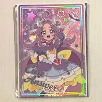 Portrait - Pretty Cure Series