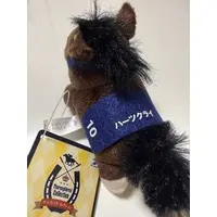 Plush - Thoroughbred collection