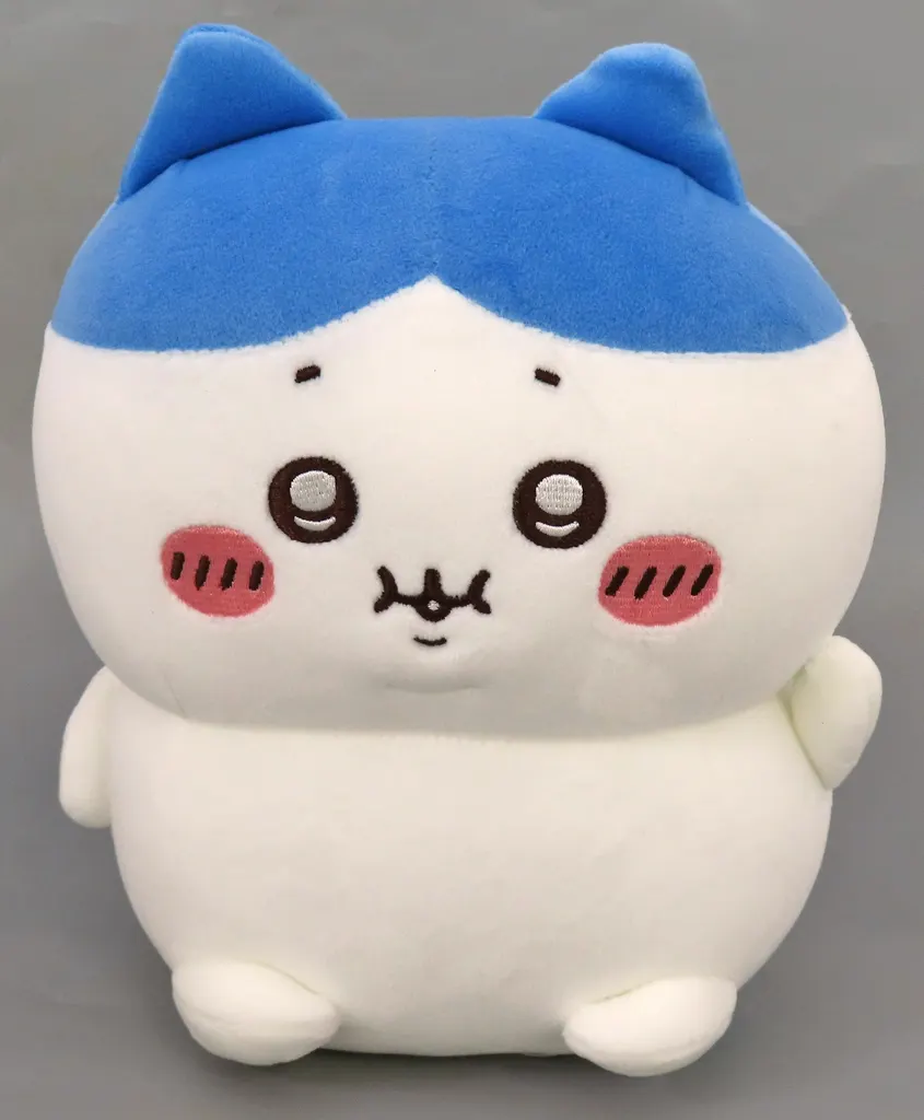 Plush - Chiikawa / Hachiware