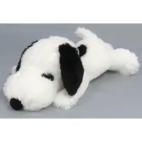 Plush - PEANUTS / Snoopy