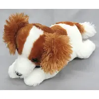 Plush (コーイケルホンディエのおでこちゃん(おめかし) JBぬいぐるみ)
