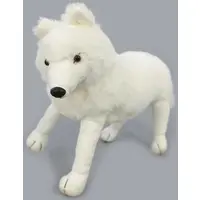 Plush (オオカミ(ホワイト) ぬいぐるみ 「ウールヴァル」)