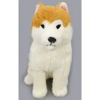 Plush (ぽかまる JBぬいぐるみ 「ほっこり秋田犬はち兵衛」)