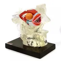 Trading Figure - Children's Encyclopedia