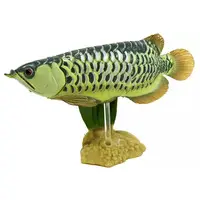 Trading Figure - Freshwater Fishes