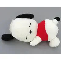 Plush - Sanrio / Pochacco