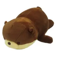 Plush (カワウソ ぬいぐるみ アクアワールド茨城県大洗水族館限定)