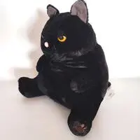 Plush - FANS