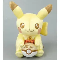 Plush - Pokémon / Pikachu