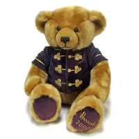 Plush - Bear