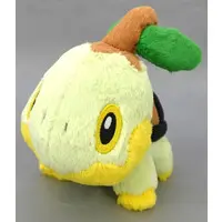 Ichiban Kuji - Pokémon / Turtwig