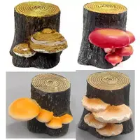 Trading Figure - Tree mushroom collection