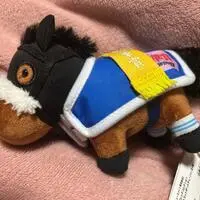 Plush - Thoroughbred collection