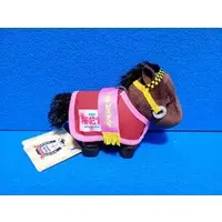 Plush - Thoroughbred collection