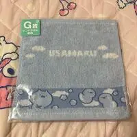 Towels - Handkerchief - Usamaru