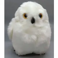 Plush (シロフクロウS ぬいぐるみ 都立動物園・TokyoZooShop限定)