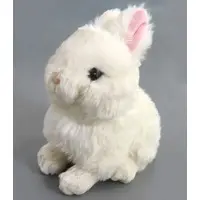 Plush - Lapinou