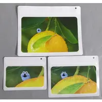 Bag - Zipper Bag - PUPPET SUNSUN / Sunsun