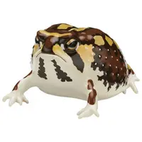 Trading Figure - Nature Technicolor
