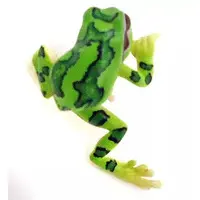 PUTITTO - Frog