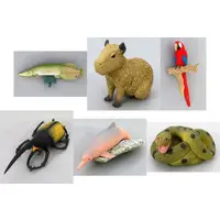 Trading Figure - 3D Capsule Encyclopedia
