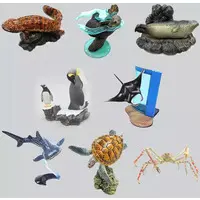 Trading Figure - Japanese giant salamander / Giant oceanic manta ray