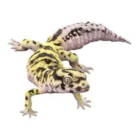 Trading Figure - Ikimono Daizukan