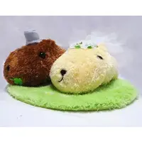 Plush - Kapibara-san