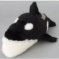 Plush - SHAKUREL PLANET
