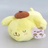 Plush - Sanrio / Pom Pom Purin
