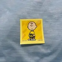 Stickers - PEANUTS / Charlie Brown