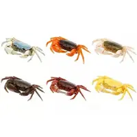 Trading Figure - Nature Technicolor