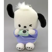 Plush - Sanrio / Pochacco