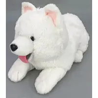 Plush - Dog