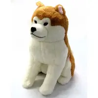 Plush - Dog