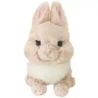Plush - Lapinou