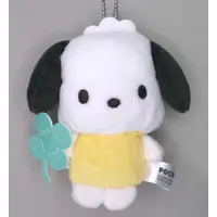 Plush - Sanrio / Pochacco