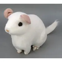 Plush - Real Animals