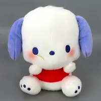 Plush - Sanrio / Pochacco