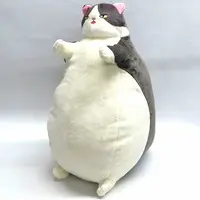 Plush - Cat