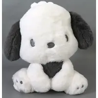 Plush - Sanrio / Pochacco