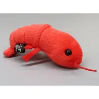 Plush - Shirasutai