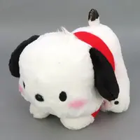 Plush - Sanrio / Pochacco