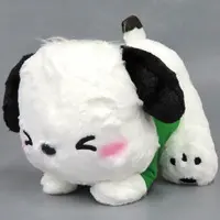 Plush - Sanrio / Pochacco