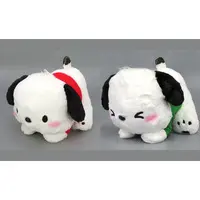 Plush - Sanrio / Pochacco