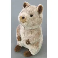 Plush - fluffies