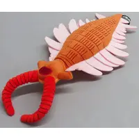 Plush - Anomalocaris